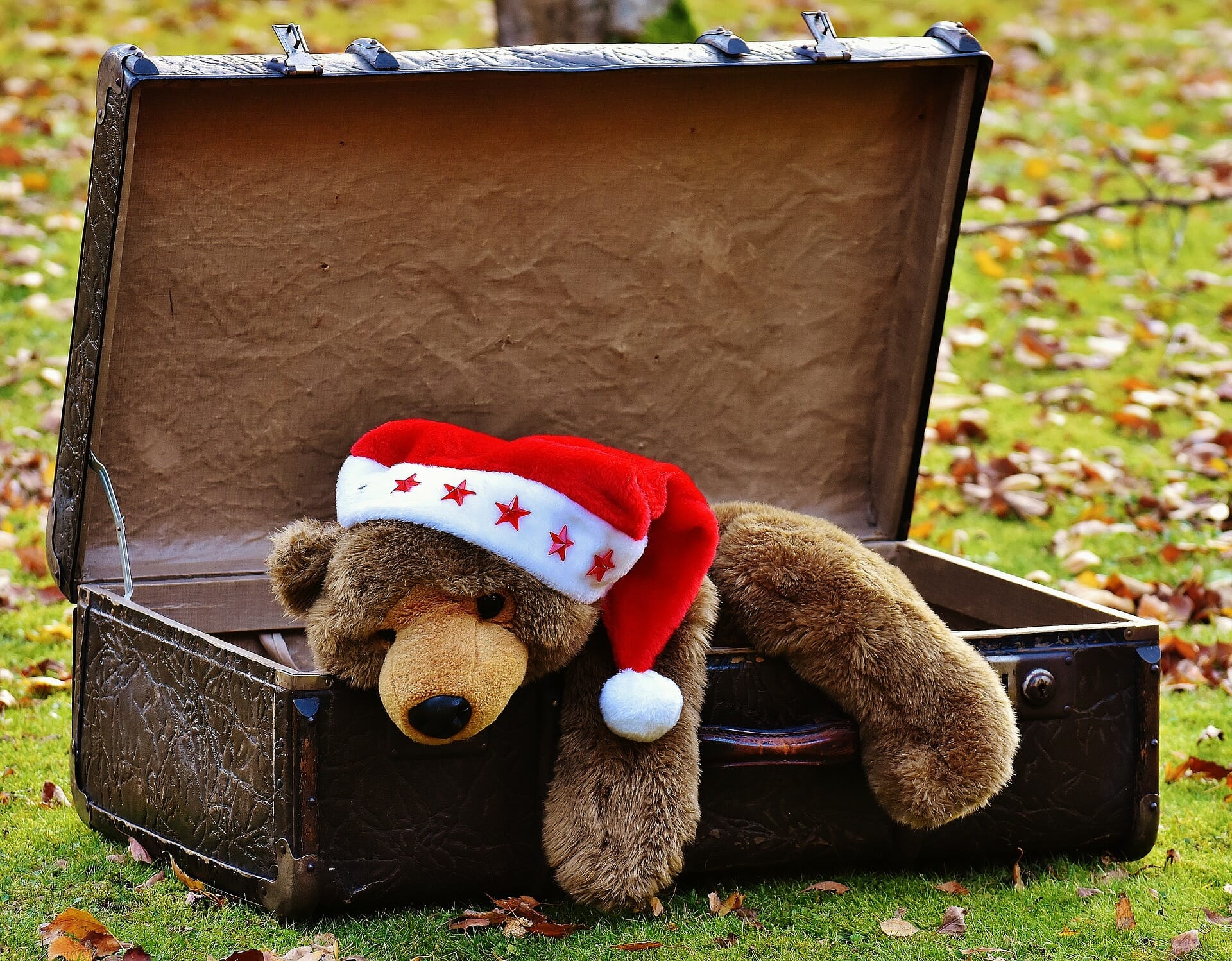 Volver a casa por Navidad